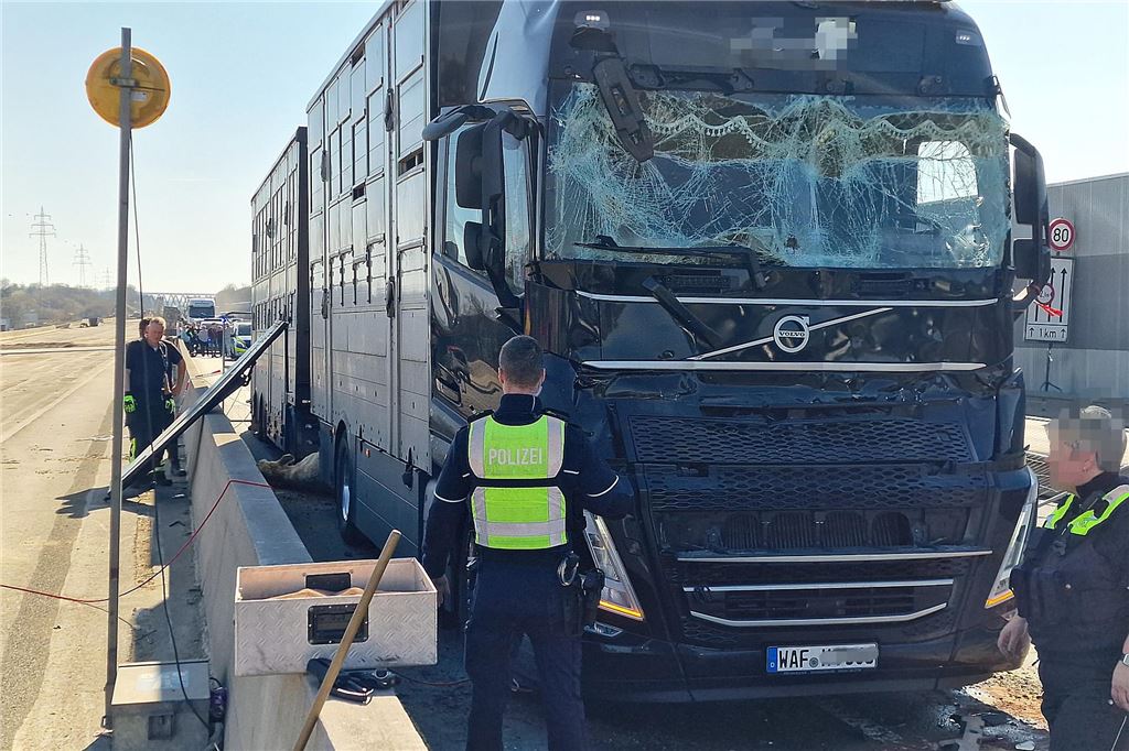 Nach einem Unfall mit einem Viehtransporter auf der A1 bei Unna am 19.3. steht der Transporter mit zertrümmerter Frontscheibe am Fahrbahnrand.
