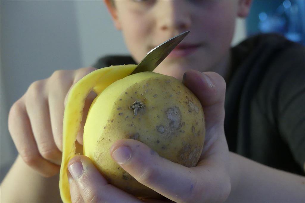Geschmacksverstärker? Her damit! Rezept für „Kräutergehacktes“ Kartoffeln schälen