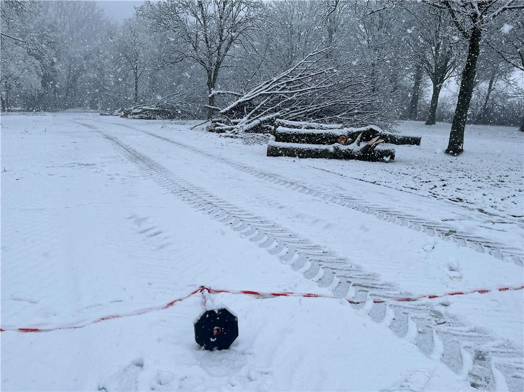 Äste und Stämme liegen getrennt voneinander im Schnee am Freibad Schöne Flöte.