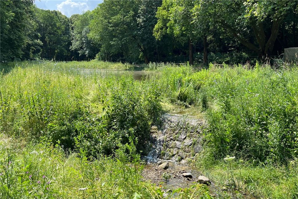 Erster Teich im Bornekamp: „Teichfolie ist die naheliegende Lösung“ Aktuell ist der Erste Teich im Bornekamp tatsächlich voll und über den Auslass (Bild) läuft Wasser zurück in den Kortelbach. Grund dafür sind die starken Regenfälle in der zurückliegenden Woche. Sie lassen den Kortelbach anschwellen. Der Bach, der an zwei Überlaufstellen mit dem Teichbecken verbunden ist, brachte zuletzt wieder frisches Wasser ein.