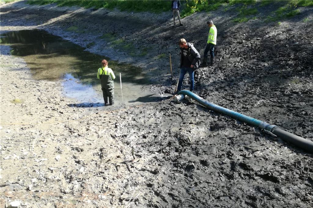 Geld versenkt und nichts gewonnen: Was wird aus dem Ersten Teich? Als abzusehen war, dass auch der neue Teich Wasser durch Versickerung Wasser verliert, ließen die Stadtbetriebe mit Bohrkernuntersuchungen die eingebrachte Tonschicht messen. Ergebnis: Sie war nur halb so dick wie vertraglich vereinbart.
