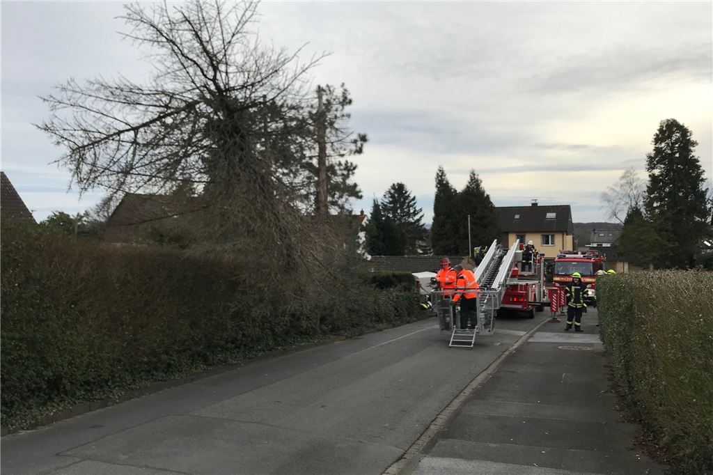 Das lange Warten auf „Sabine“: Der Tag im Liveticker zum Nachlesen Am frühen Sonntagnachmittag drohte auf der Otto-Hue-Straße in Kamen ein Baum auf die Straße zu stürzen. Die Feuerwehr musste ihn fällen.