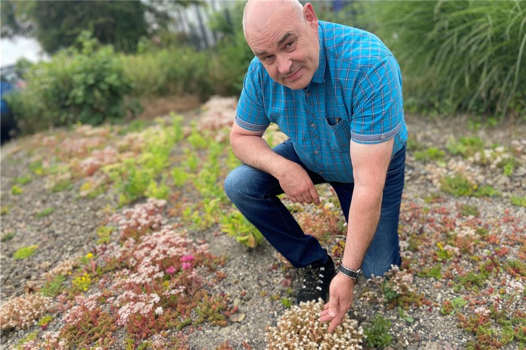 Für die Grünpflege durch Bürger gibt es jetzt Verträge Anhand eines vorherigen Schottergartens zeigt Garten- und Landschaftsbaumeister Holger Zühlke hier, wie man Flächen selbst mit einfach zu pflegenden Maßnahmen ökologisch aufwerten kann. Im Umfeld seines Unternehmenssitzes im Indupark bietet er sich der Stadt nun als Pate für Grünanlagen an.