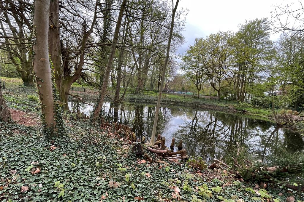 Nicht nur Theorie: Neues Pflegekonzept für den Kurpark Kurpark Unna, Teich