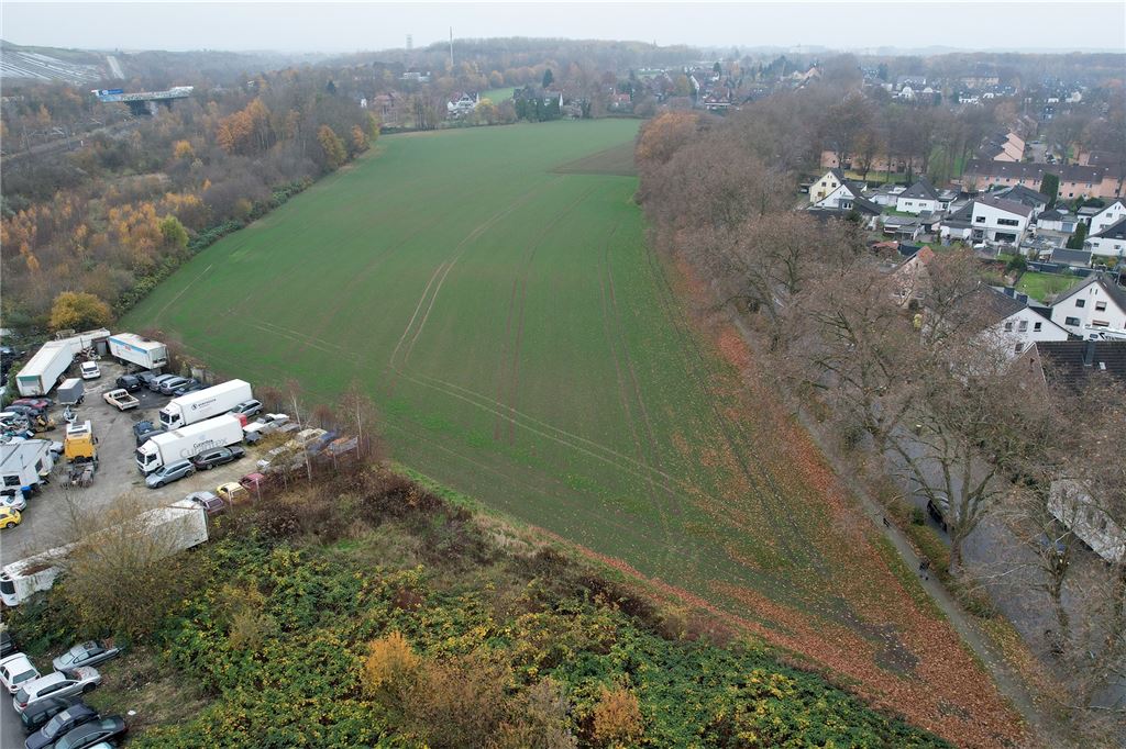 „Mehr Demokratie“ kritisiert Stadt: „Kommt Grundsatz nicht nach“ Auch über die Zukunft der Fläche Derner Straße dürfen die Lüner am Sonntag abstimmen.