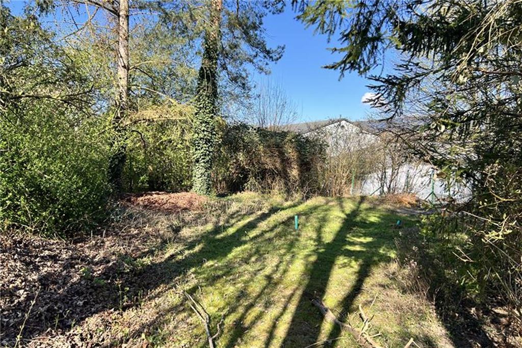 Neuer Wohnraum: An der Körnerstraße wird seltenes Bauland angeboten Grünfläche an der Körnerstraße in Unna: Büsche und Bäume stehen südlich des Breitenbach-Geländes auf einer Fläche, die als Bauland angeboten wird.