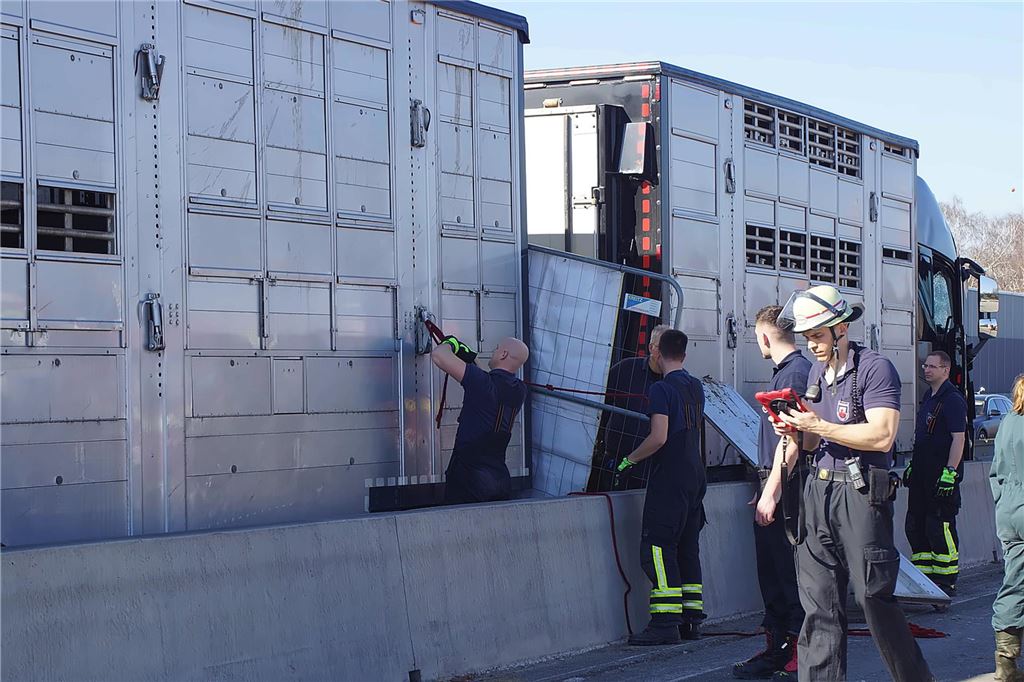 Nach einem Unfall mit einem Viehtransporter auf der A1 bei Unna am 19.3. arbeiten Feuerwehrleute an dem Transporter.