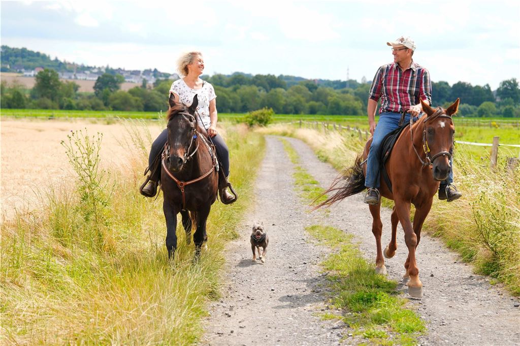 Erster Kuss zwischen Pferdewirtin Jenny und ihrem Sweer Jenny aus Fröndenberg und Sweer reiten auf einem Feldweg nebeneinander her. In der Mitte läuft ein kleiner Hund.