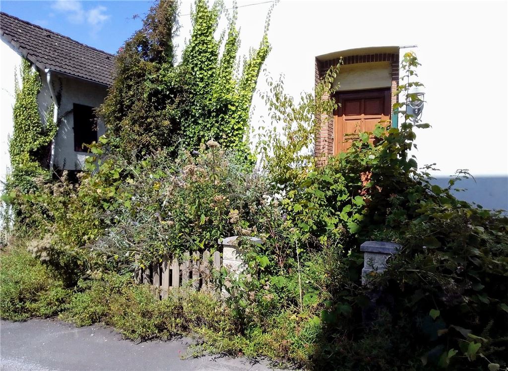 Doppelhaushälfte kommt erneut unter den Hammer Ein Haus, dessen Eingangsbereich mit Pflanzen zugewuchert ist.