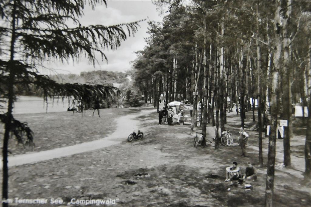 Campen ging am Ternscher See auch ab dem 50er-Jahren - zunächst im sogenannten Campingwald, den man auf dem Foto sieht. Im Laufe der Jahre entwickelte sich aber ein großer Campingplatz, der heute immer noch sehr beliebt und belebt ist.