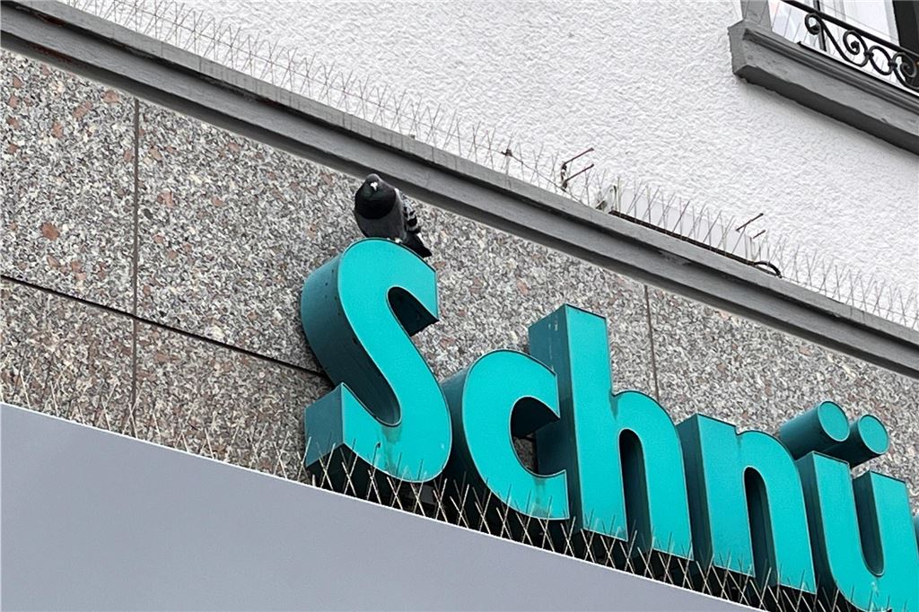 Taubenhaus: Tierschützerin hofft, dass Stadt Versprechen bald umsetzt Auf einem Schriftzug des Kaufhauses Schnückel in Unna sitzt eine Taube