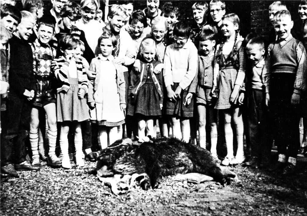 Neuer Freibad-Kalender erzählt von Wildschweinjagd und Königsflügen Schüler stehen hinter einem toten Wildschwein
