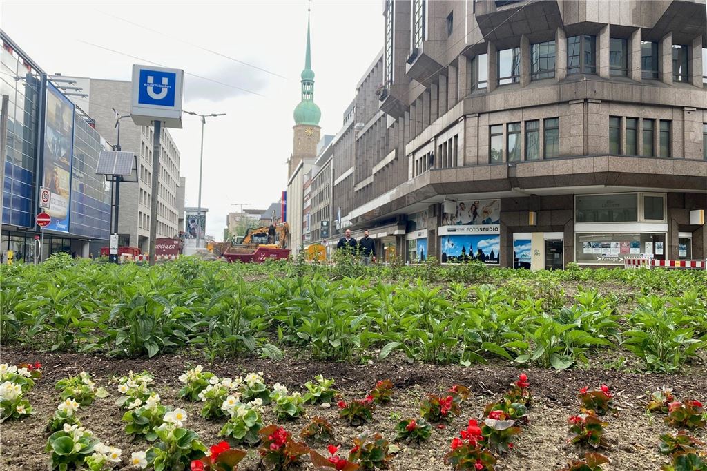 Stadt kippt alte Pläne für Boulevard Kampstraße: Planung soll neu starten Den Wunsch nach mehr Grün sollen neue Planungen für die Kampstraße erfüllen.