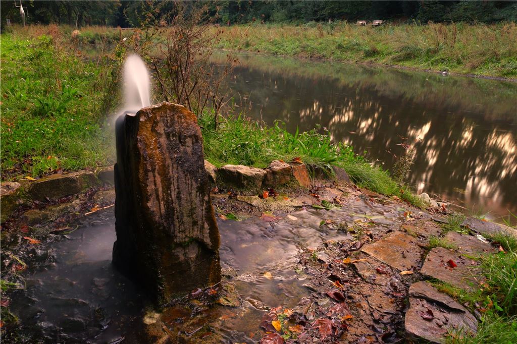 Umweltinitiative will Landesgartenschau nach Unna holen Der Bornekamp (hier der Quellenstein am Ersten Teich) ist schon heute ein beliebtes Naherholungsgebiet und die grüne Lunge der Oberstadt. Mitglieder des Klimabündisses sehen aber noch Entwicklungspotenziale für das Gebiet.