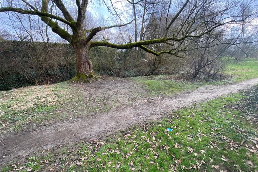 Trampelpfad ade: Die PARTEI will Emscherweg näher an Emscher bringen Die große Baum auf der Fläche ist ein beliebter Treffpunkt für Jugendliche. Hier wünscht sich die PARTEI eine Sitzinstallationen und Mülleimer.