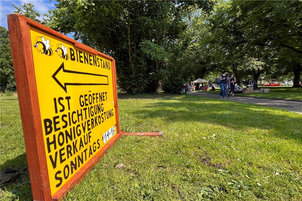 Mittsommernachtsfest im Kurpark Königsborn 2024