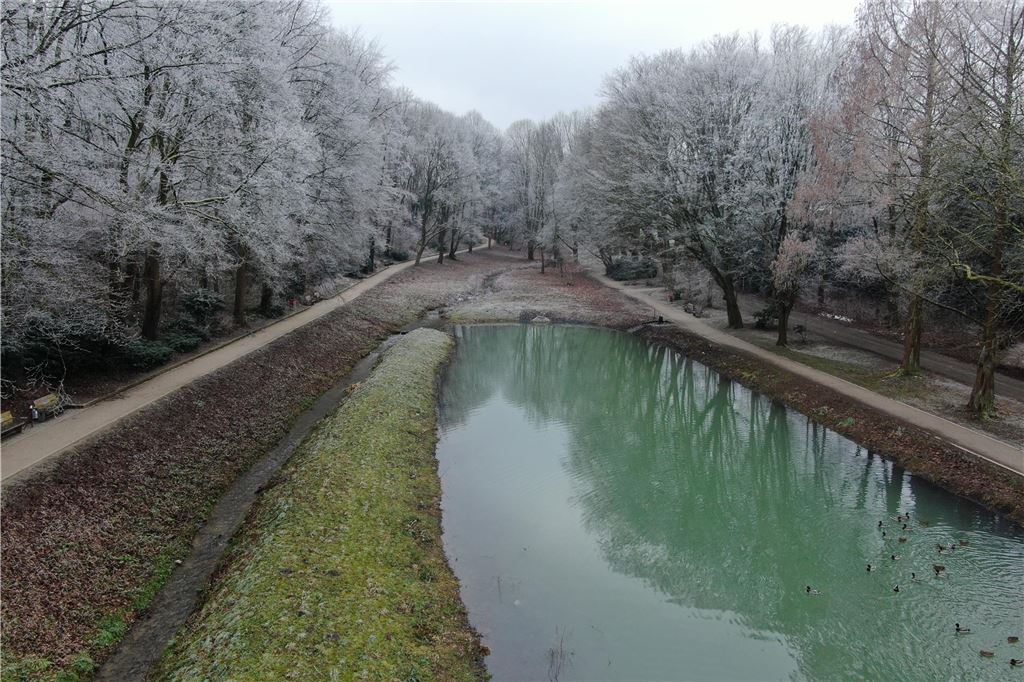 Der Teich in Bornekamp, an dessen Seite sich der Kortelbach entlang schlängelt. 
