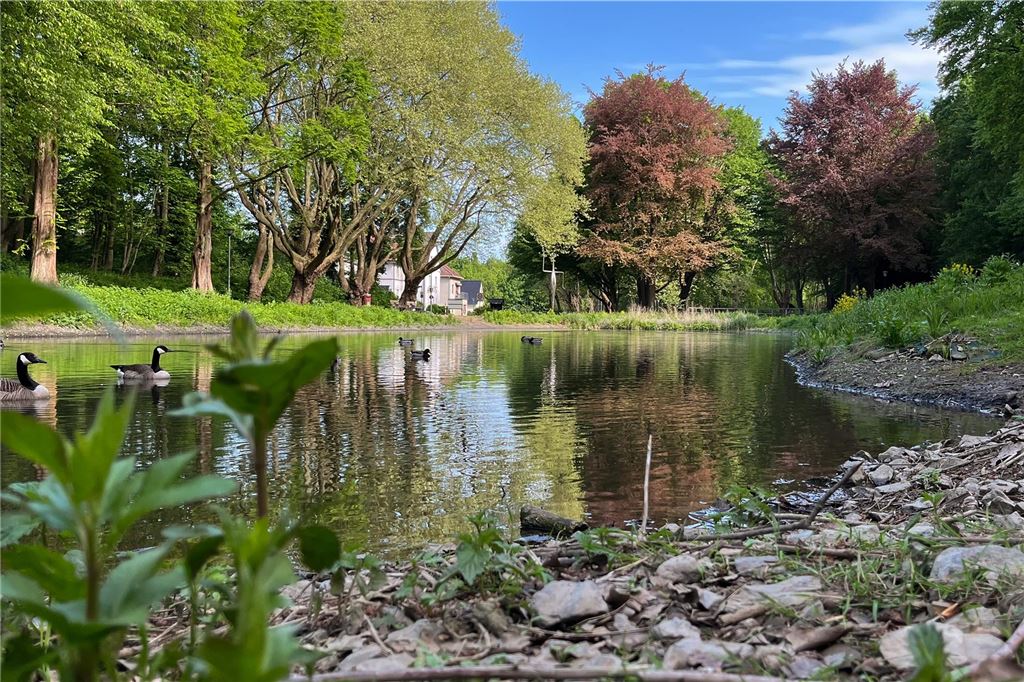 Zwischen Stadtpark und Ökozelle: Unna sucht Richtung für Bornekamp Umgeben von stattlichen Bäumen liegt im Bornekamp die Wasserfläche des ersten Teiches.