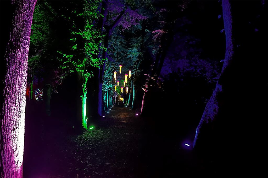 Lichtkunst