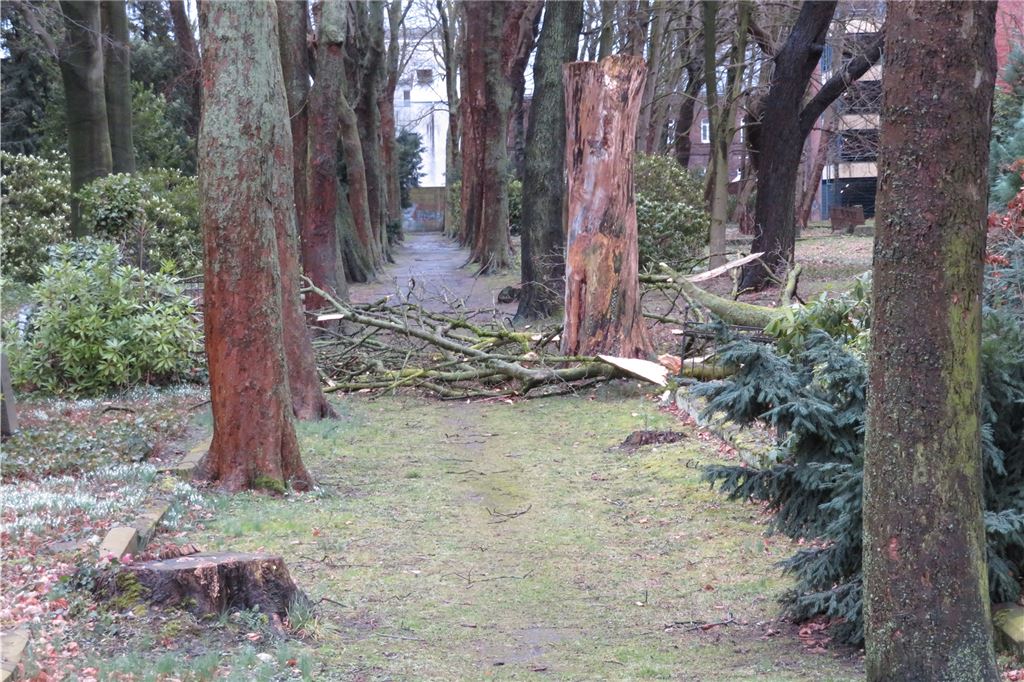 Orkan „Sabine“ im Kreis Unna: Schulen öffnen am Dienstag wieder Orkan Sabine: Der Westfriedhof in Unna ist bis auf Weiteres gesperrt.