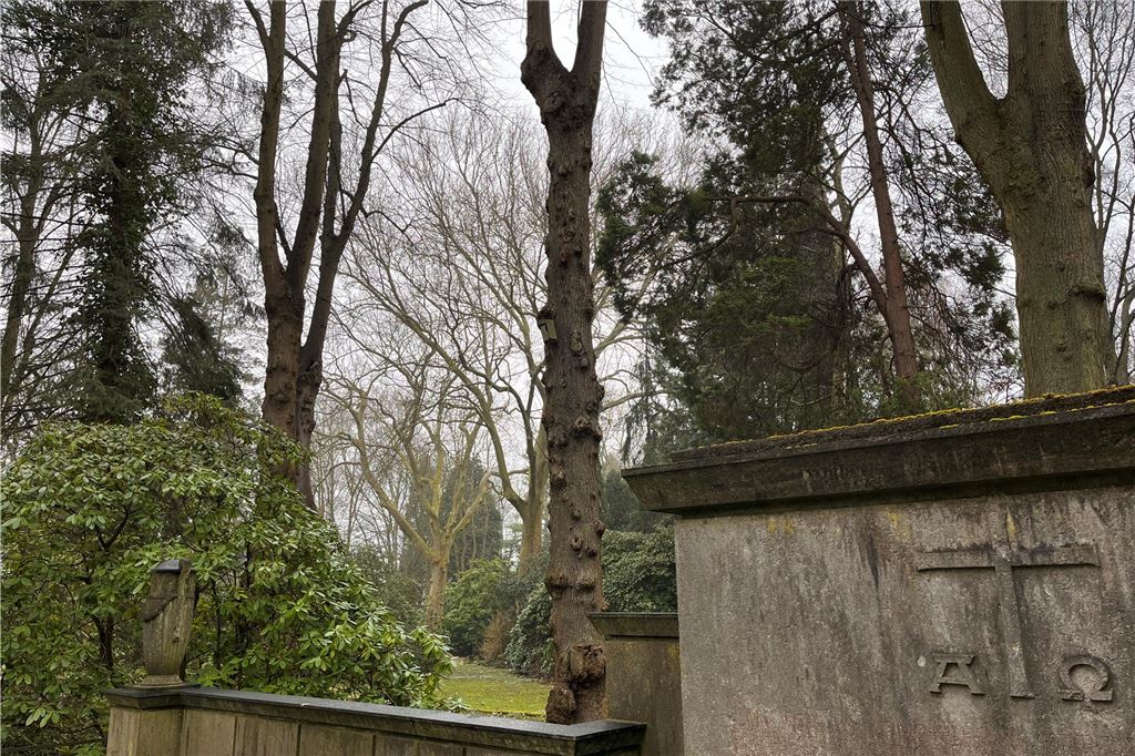 Baumschutzkommission genehmigt Fällung zahlreicher Bäume Westfriedhof in Unna: Neben den Grabsteinen stehen etliche Bäume.