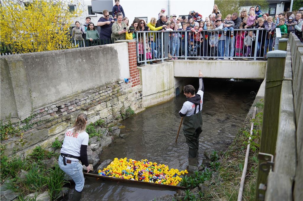 Gelber Schwarm auf dem Mühlbach: Die Piraten-Ente hat den Schnabel vorn Die Helfer Tamara und Frank Schildmann vom SSV Mühlhausen-Uelzen waren nicht nur federführend bei der Organisation des Entenrennens, sie kümmerten sich auch um einen geordneten Start und dass keine Ente auf der Strecke blieb.