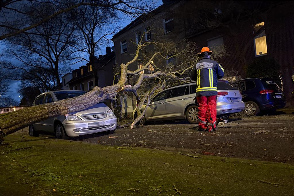 Warnung vor Sturm in NRW zum Wochenstart: Starke Regenschauern und orkanartige Böen möglich Die Feuerwehr Bochum im Einsatz: Ein Baum ist im Stadtteil Stiepel auf mehrere Autos gestürzt.