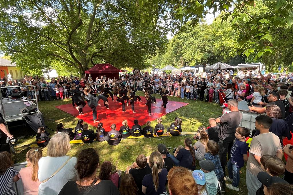 Mittsommernachtsfest im Kurpark Königsborn 2024
