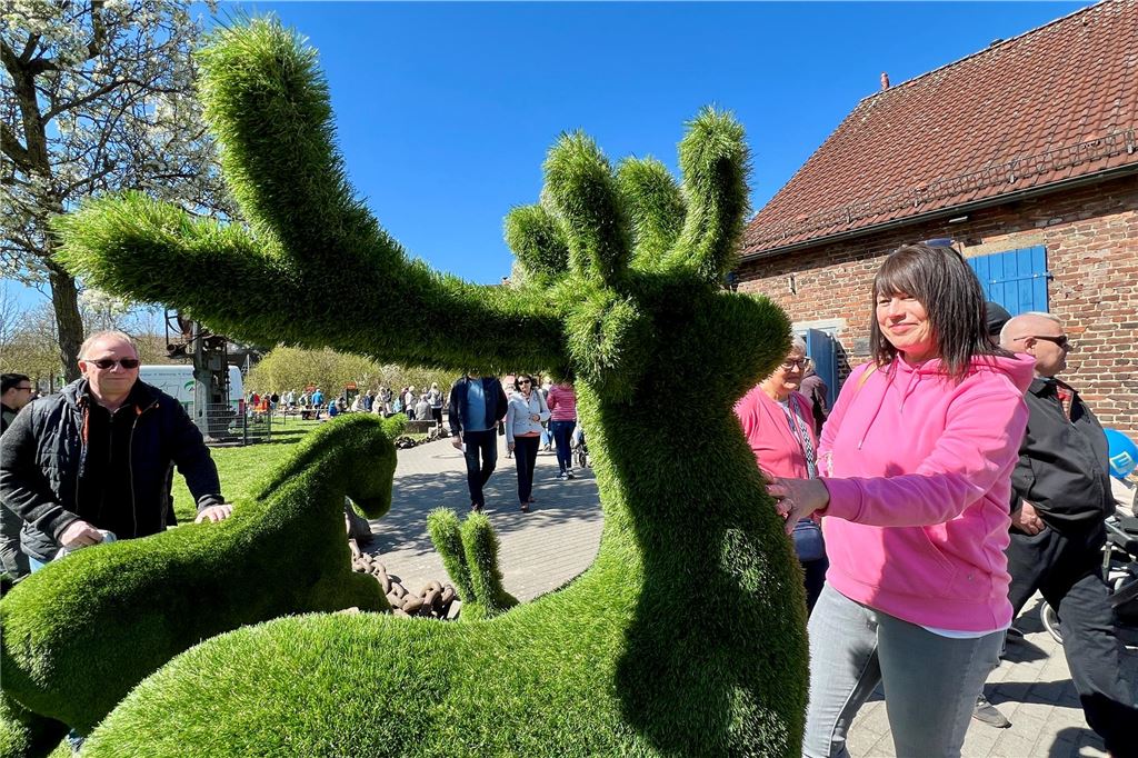 Besucherin bewundert das Rasen-Rentier.