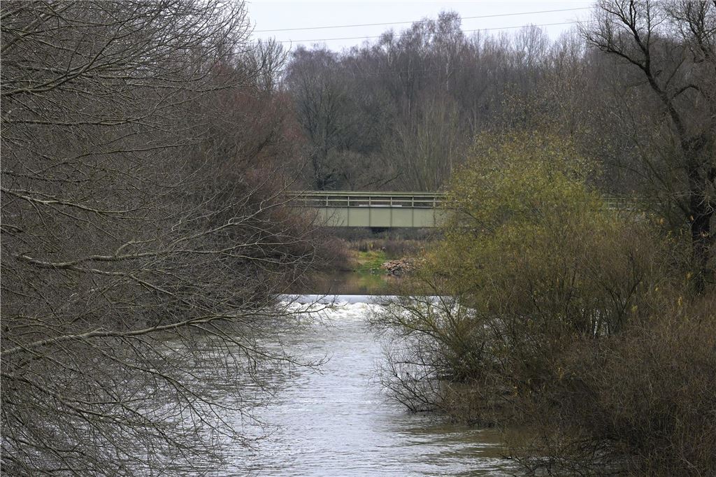Wasserwehr Buddenburg: WWF schlägt in Fallstudie Rückbau vor Ein Fluss. Links und rechts sind Bäume und Gebüsche.