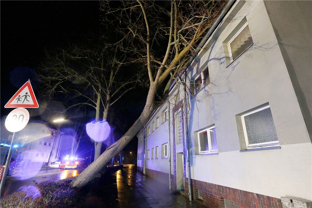 Orkantief stürmt durchs soziale Netzwerk: Fast alle Schüler zuhause, Dienstag wieder Unterricht Die Situation an der Koppelstraße, als die Feuerwehr eintrifft. Ein entwurzelter Baum lehnt an der Fassade eines Mehrfamilienhauses.