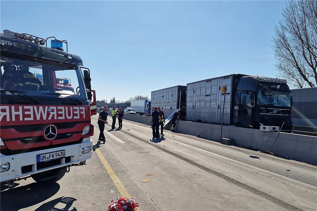 Nach einem Unfall mit einem Viehtransporter auf der A1 bei Unna am 19.3. steht ein Feuerwehrauto auf der Autobahn. Feuerwehrleute gehen vorbei. Daneben steht der Transporter.