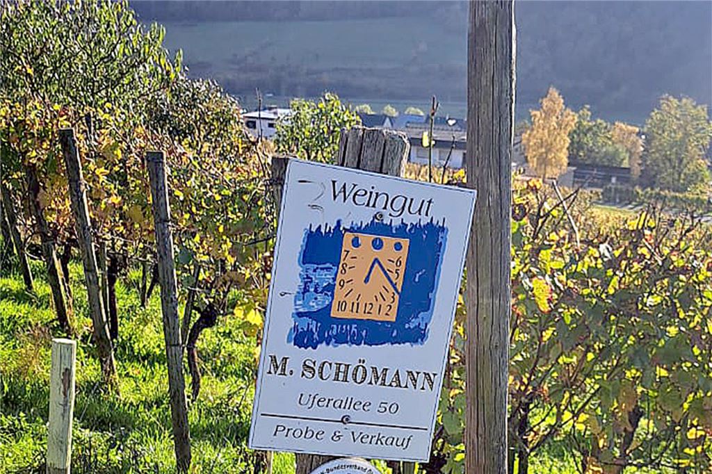 „Weinschätze“ eröffnen an der Mährstraße: Nur Bio-Produkte im Angebot Ein Weinberg an der Mosel.