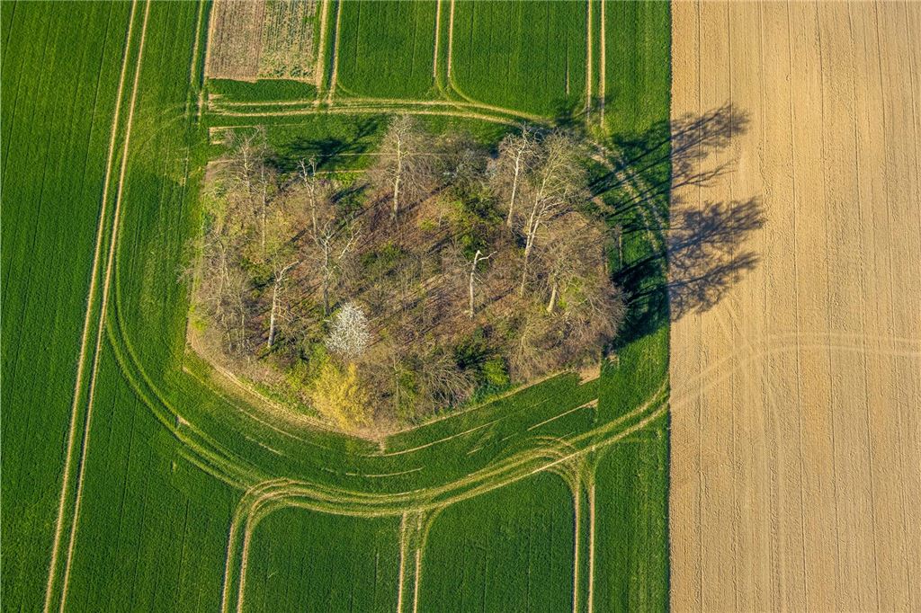 Zusammensetzung der Bodenfläche: Vegetation, Wohnbau, Industrie und Verkehr Wald