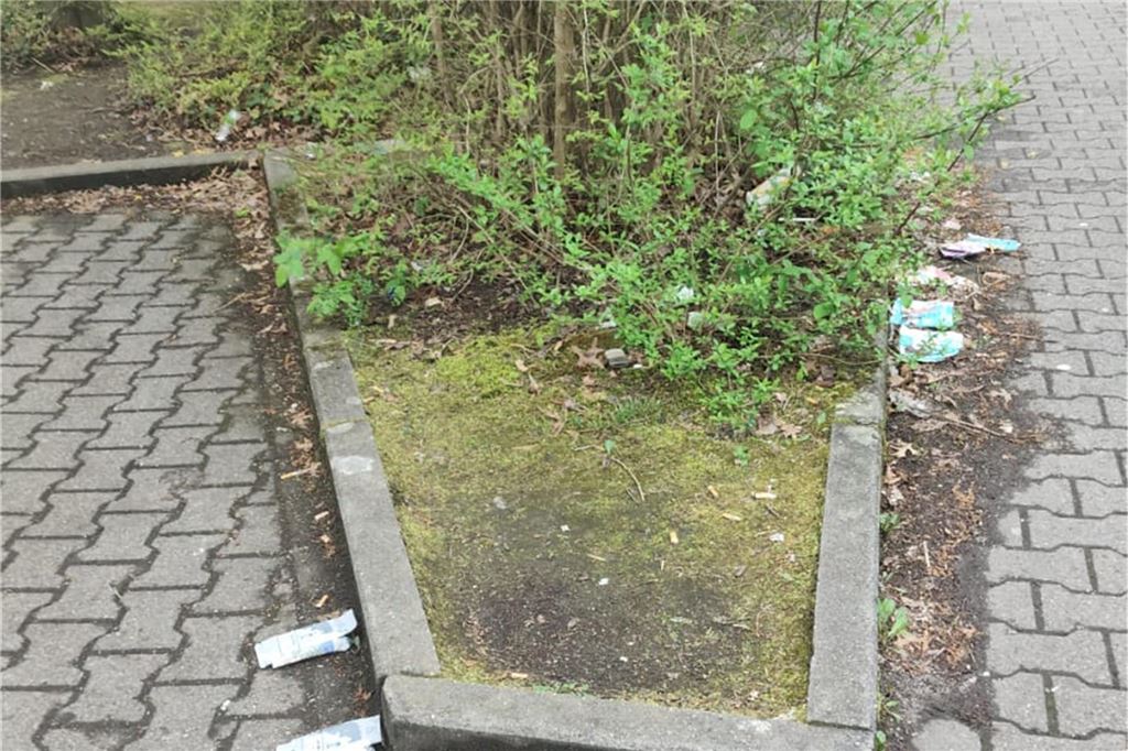 Birgit Meyer ärgert sich über zu viel Müll in der Landschaft Selbst am Rand des kleinsten Gebüsches findet sich Unrat.