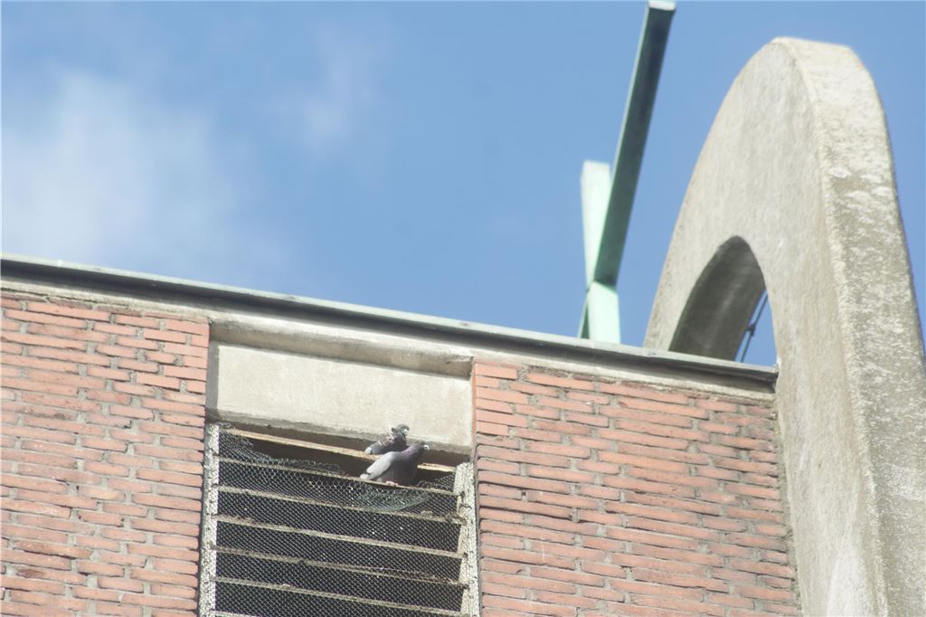 Taubenprojekt braucht Zeit und genauen Blick auf Nester Ein Bild vom Turm der Könisgborner Herz-Jesu-Kirche vor dessen Sanierung: Auch in dieser „urbanen Felswand“ hatten sich Tauben eingenistet.