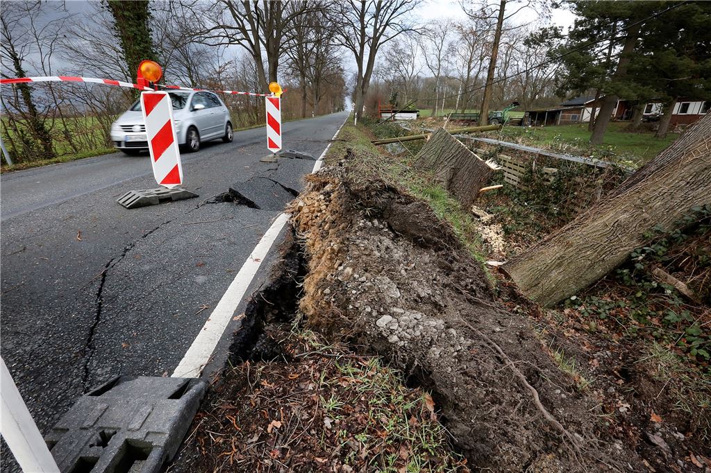 Orkan „Sabine“ im Kreis Unna: Schulen öffnen am Dienstag wieder Orkan Sabine: Ein entwurzelter Baum beschädigte nicht nur die Stromleitung an der Hansastraße in Overberge, sondern auch die Fahrbahn.