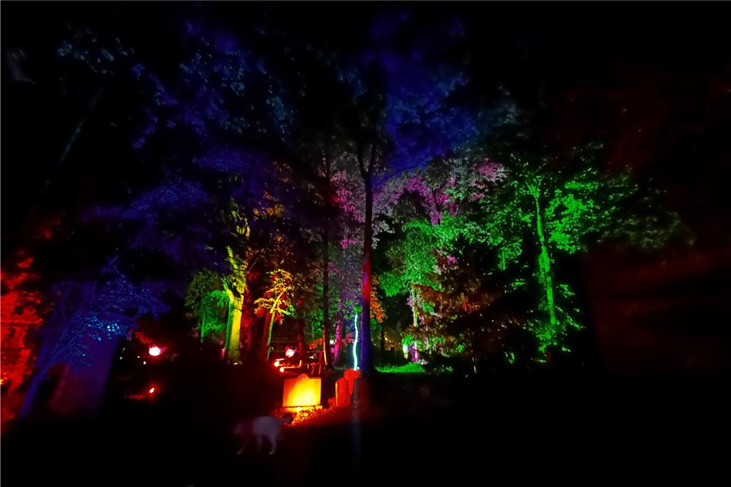 Lichtkunst