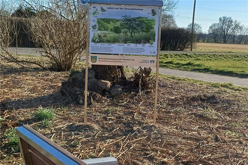 Heimatverein wird in Südkamen aktiv: In Flora und Fauna tut sich etwas Neue Streuobstwiese mit Sitzbank in Südkamen.