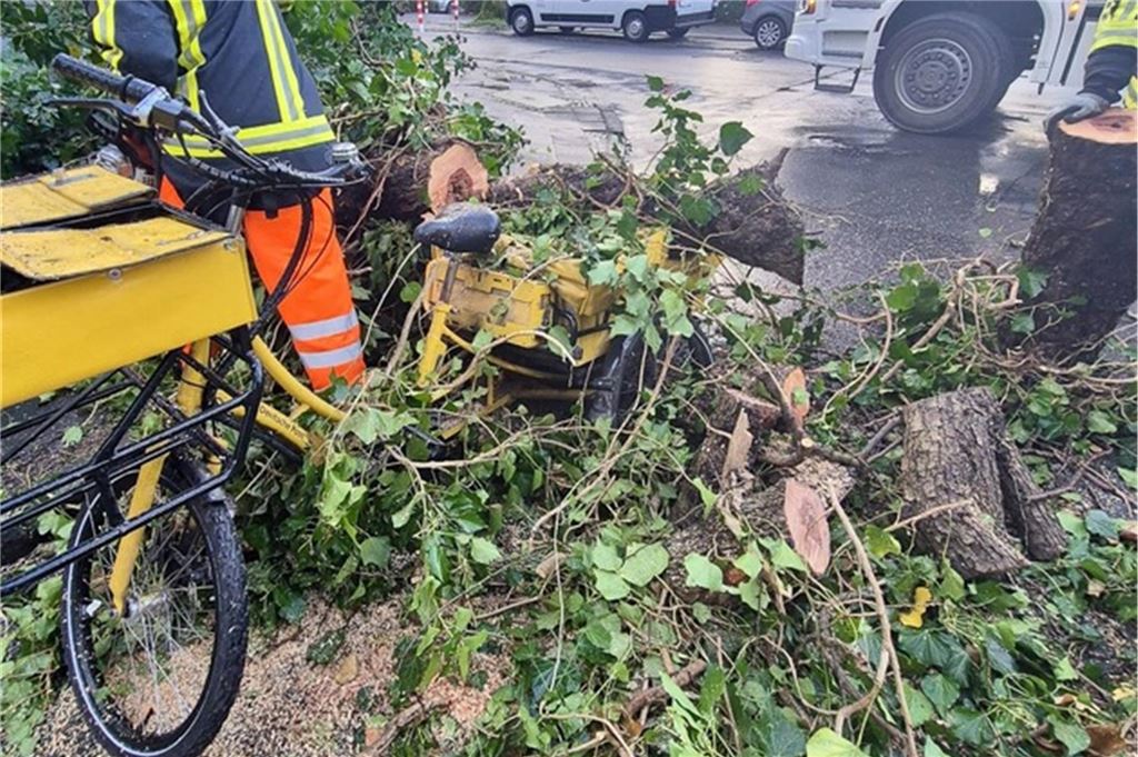 Warnung vor Sturm in NRW zum Wochenstart: Starke Regenschauern und orkanartige Böen möglich Die Feuerwehr Bochum entfernt einen umgestürzten Baum auf einem Fahrrad einer Briefträgerin.