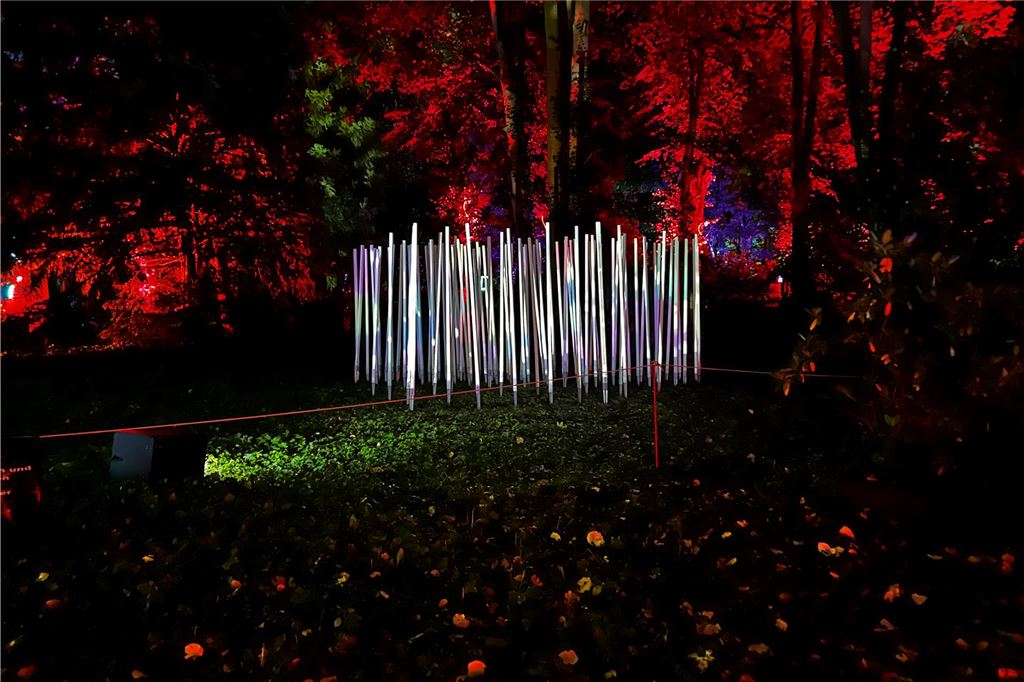 Lichtkunst