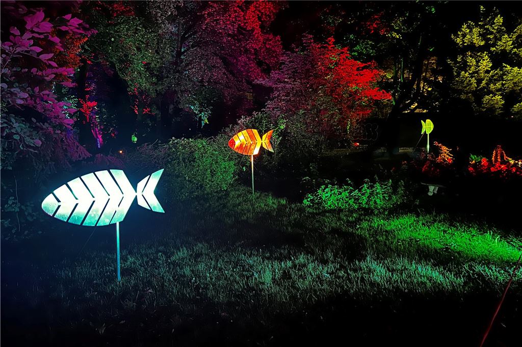 Lichtkunst