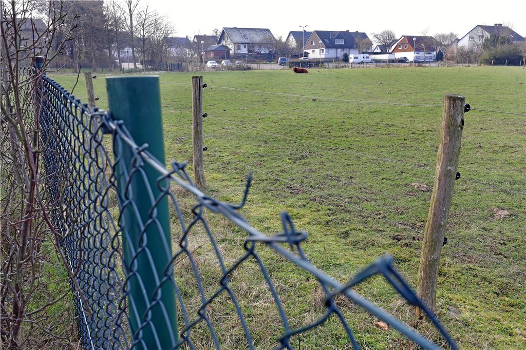 Zähes Neubauprojekt: War schon das alte Freizeitbad ein Schwarzbau? Heute ist das Grundstück des früheren Freizeitbades sauber geräumtes Brachland. Die einzigen Nutzer sind die Rinderherde eines privaten Halters, der sein Vieh dort grasen lassen darf.