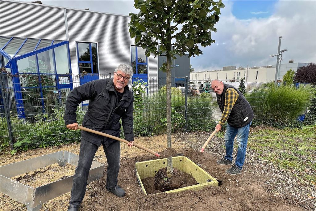 Spott für Landesgartenschau in Unna: Idee „fehlt jeder Realitätsbezug“ Klaus Göldner und Holger Zühlke pflanzen gemeinsam einen Baum.