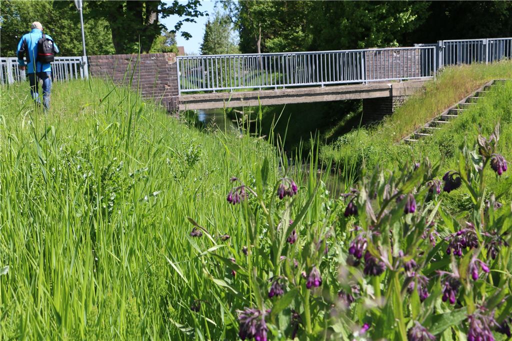 Gesperrter Betriebsweg am Mühlbach soll nicht geöffnet werden Auf etwa halbem Weg zwischen Bergstraße und Westfälischer Straße führt eine schmale Brücke aus Stein über den Mühlbach.