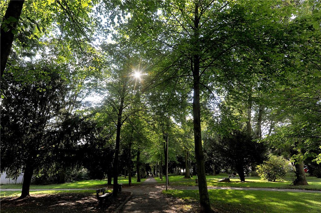 Heiße Tipps bei Hitze: Das sind die kühlsten Orte in der Ruhrstadt Stadtpark Schwerte