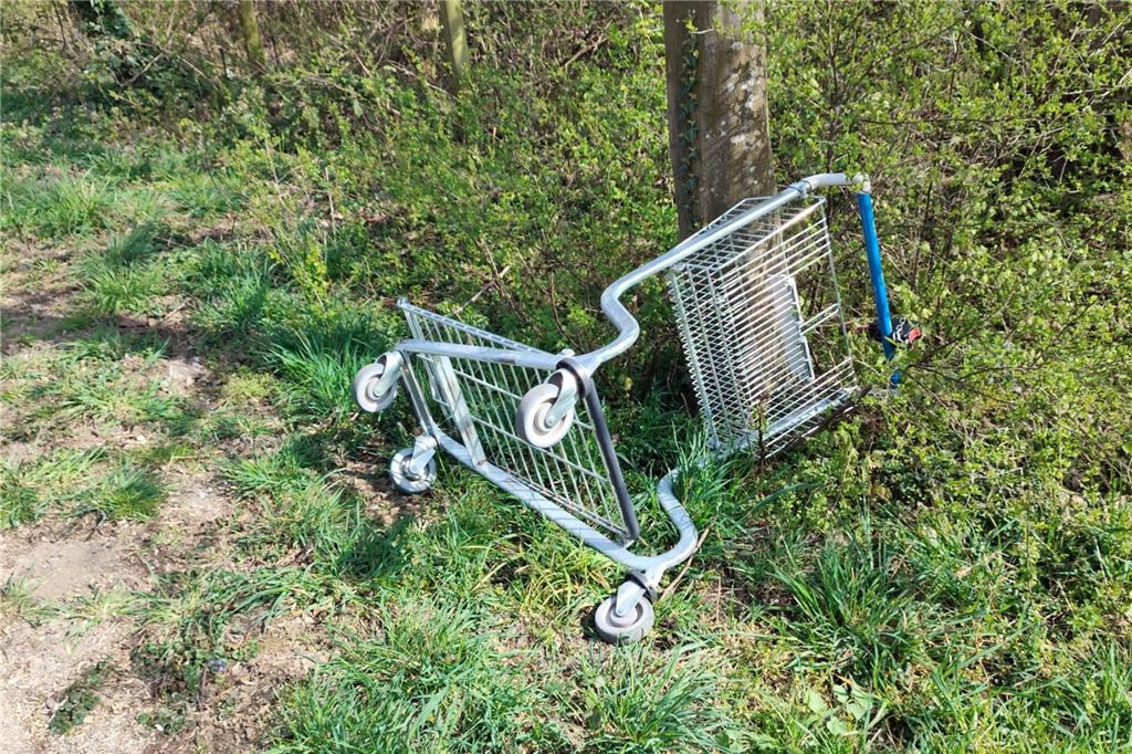 Birgit Meyer ärgert sich über zu viel Müll in der Landschaft Ein Einkaufswagen liegt in Bergkamen in der Gegend herum.