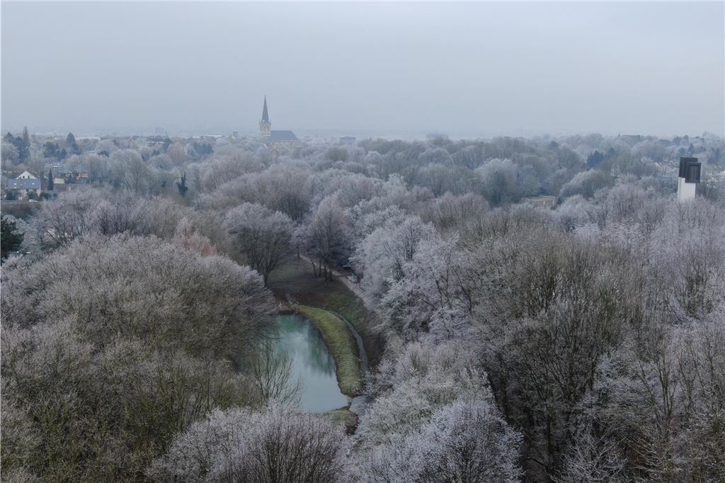 Impressionen vom Bornekamp Teich, mit weißer Winterlandschaft und dem Blick auf die evangelische Stadtkirche.