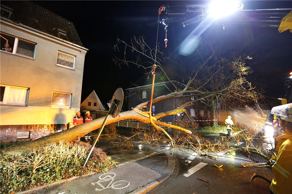 Orkan „Sabine“ im Kreis Unna: Schulen öffnen am Dienstag wieder In Kamen ist am Abend ein entwurzelter Baum auf ein Mehrfamilienhaus gestürzt, die Bewohner durften das Gebäude zunächst nicht verlassen. Die Feuerwehr hat das hölzerne Ungetüm mit Hilfe eines 40-Tonnen-Krams eines Kamener Abschleppunternehmens vom Dach geholt.