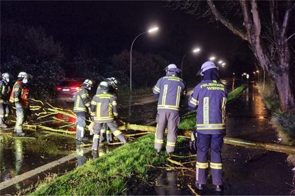 Unwetter in NRW: „Antonia“ im Anmarsch: Nächster Sturm nähert sich rasant – Liveblog In Werne musste die Feuerwehr einen umgestürzten Baum beseitigen.